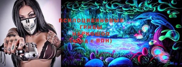 прущие крисы Абаза