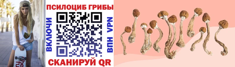 kraken как зайти  Южноуральск  Псилоцибиновые грибы прущие грибы 